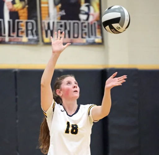 MVAC title goes through Crestview